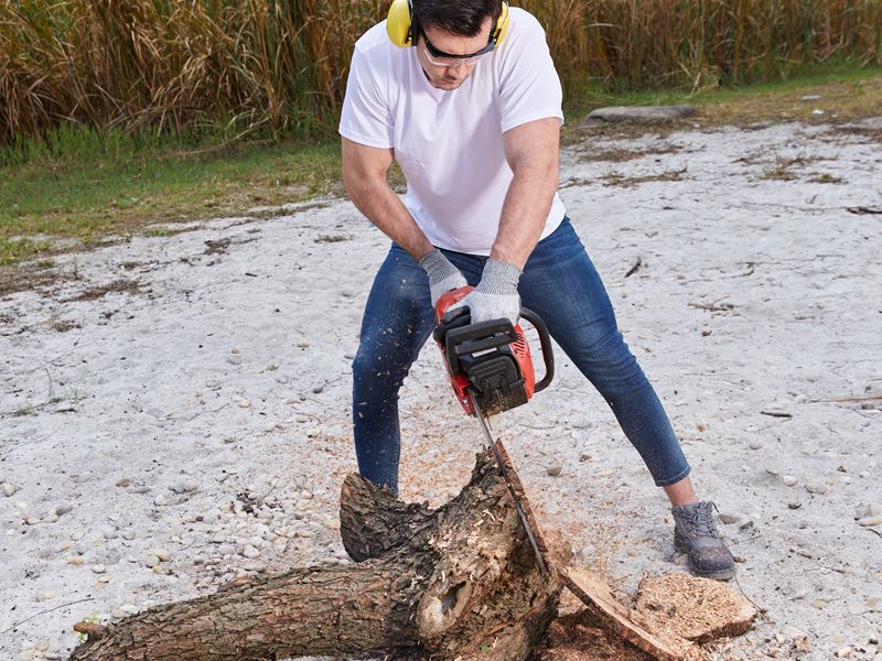 Solución profesional de tala de madera para bosques y zonas boscosas
