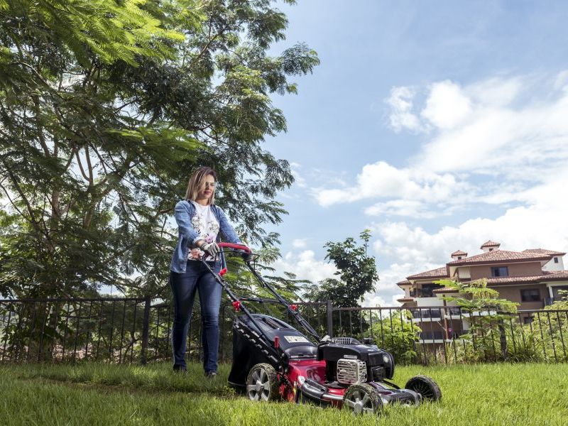 Family Lawn & Oasis Solution