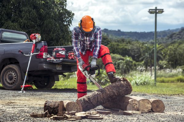 North America Set to Dominate Chainsaw Market by 2032, with USA to Capture the Largest Share
