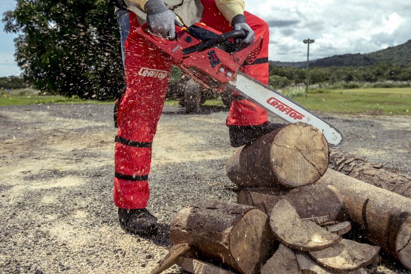 Professional Chainsaw