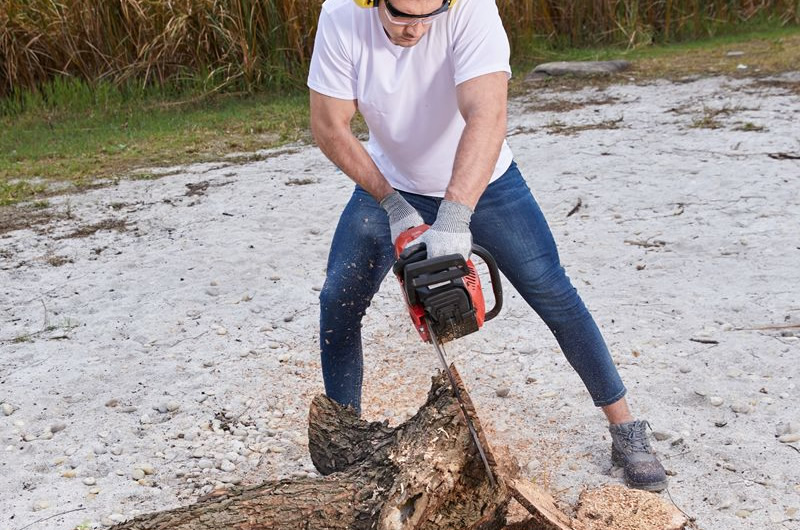 Professional Chainsaws