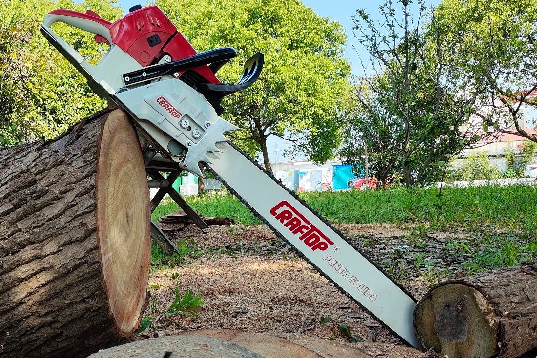 Yuav Ua Li Cas Xaiv Txoj Cai Chainsaw rau Koj Cov Kev Xav Tau
