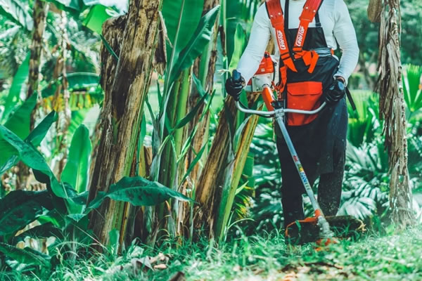 Market Analysis: Opportunities and Challenges for CRAFTOP Brush Cutters in West Africa