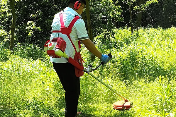 The Brand Marketing Strategy Behind the Order of 50 Lawn Mowers in Mauritius: Building Deep Trust from Prototype Verification to Bulk Purchases