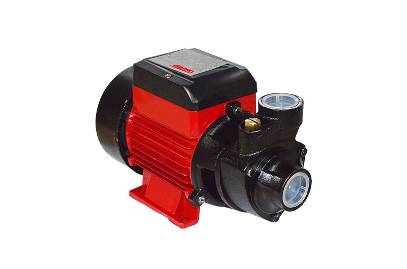 Electric Water Pump EWP-80: Perfect Functionality for Domestic and Agricultural Tasks