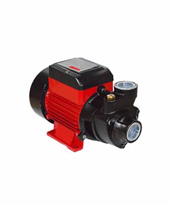 Electric Water Pump EWP-80: Perfect Functionality for Domestic and Agricultural Tasks