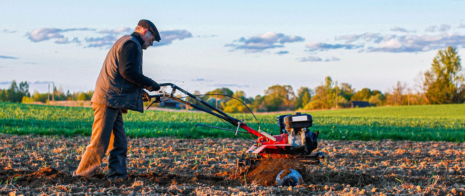 Tiller Cultivator
